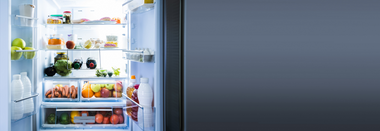 modelos-de-frigorificos-de-gran-capacidad