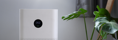 como-purificar-el-aire-para-mantener-la-casa-limpia