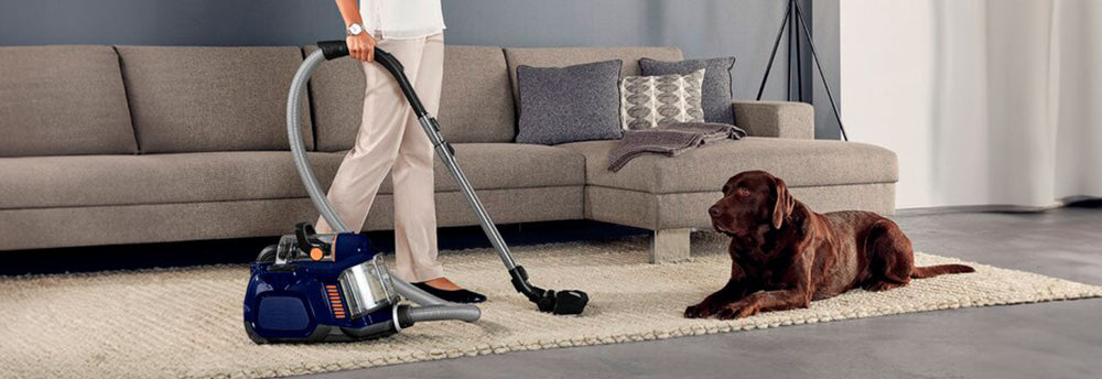 Aspirador con bolsa o sin bolsa