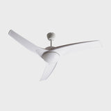 Ventiladores de techo
