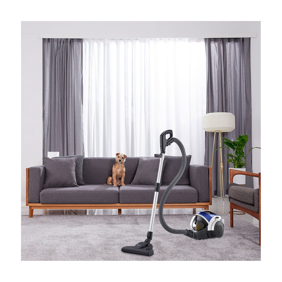 Aspirador trineo LG VK8506NHAC sin bolsa, 650 W y sistema Kompressor