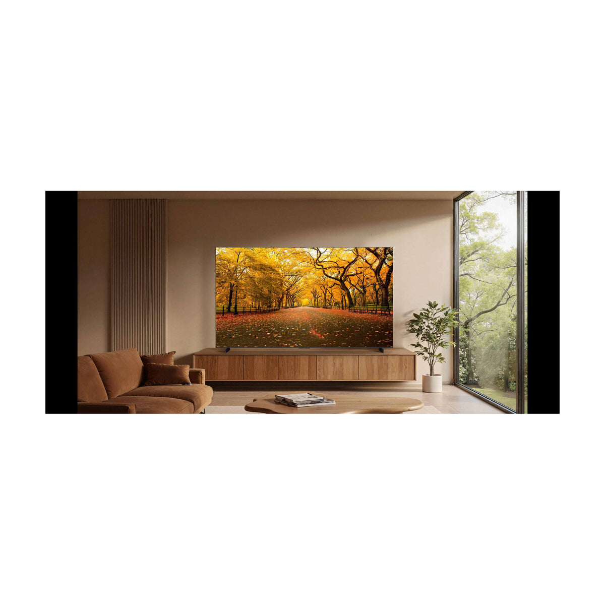 Televisor TCL 65C8L de 65 pulgadas, SQD-Mini LED 4K UHD y 144 Hz