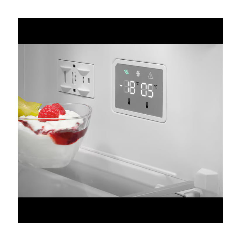 Frigorífico combi AEG ORC6N361ES, Total No Frost, 366 l