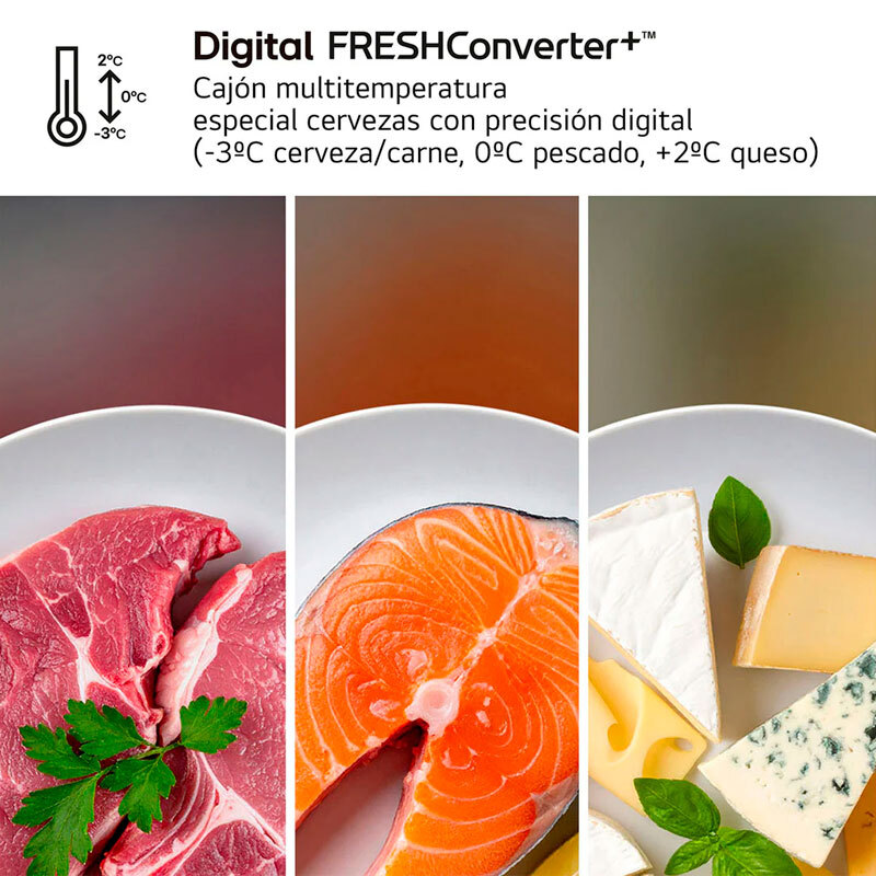 Frigorífico Combi LG GBBS312APY Inox (8)