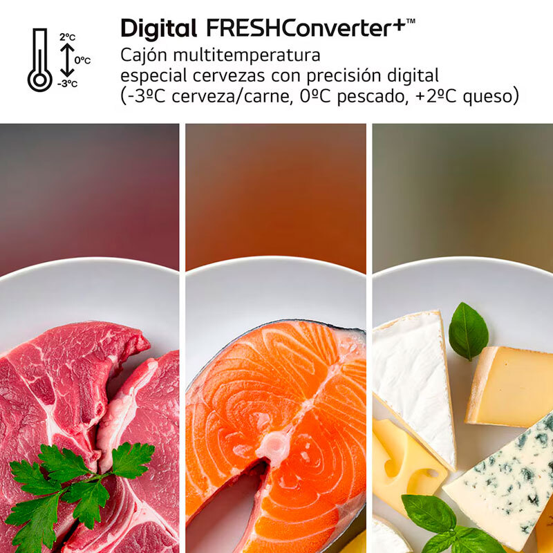 Frigorífico Combi LG GBBS312CPY Inox (8)