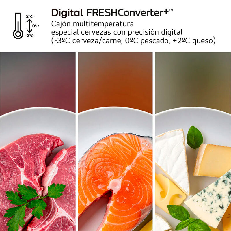 Frigorífico Combi LG GBBS322BPY Inox (8)