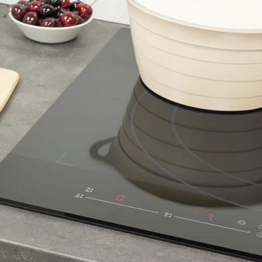 Induccion Cata Giga600BK (2)