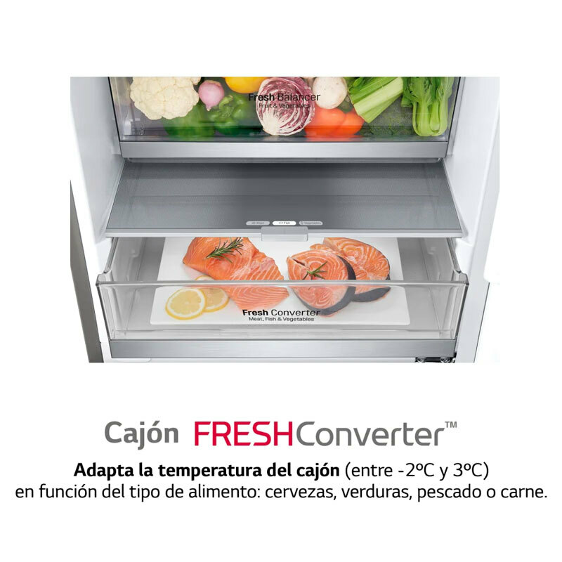 Frigorífico Combi LG GBB72NSUCN1 Acero (6)