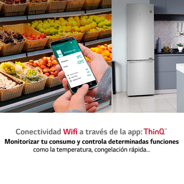 Frigorífico Combi LG GBB72NSUCN1 Acero (7)