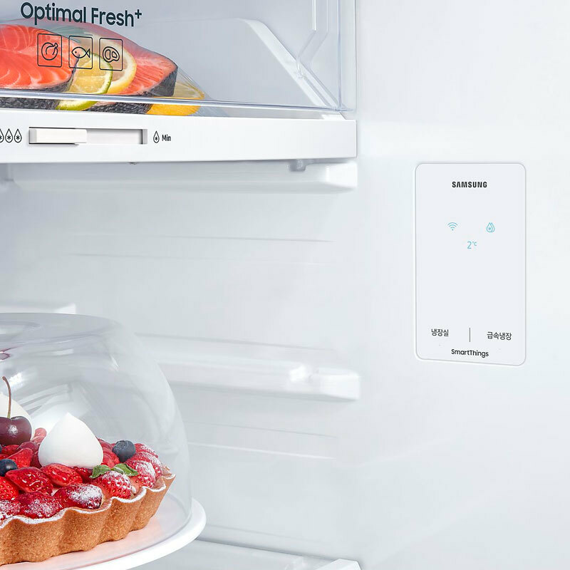 Frigo 2 puertas Samsung RT31CG5624S9ES Inox (4)