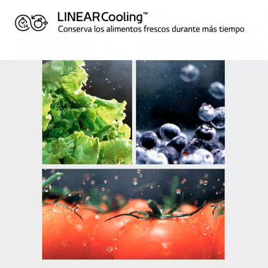 Frigorífico 1 puerta  LG GLM71MCCSX Acero Negro grisaceo (7)