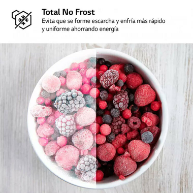 Frigorífico 1 puerta  LG GLM71MCCSX Acero Negro grisaceo (8)