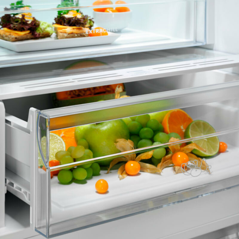 Frigorífico Combi Electrolux LNT6ME32U2 Inox (4)