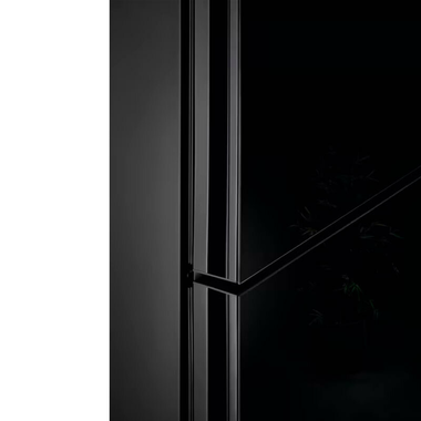 Frigorífico Combi AEG ORC8M361EE Negro (3)