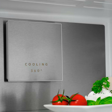 Frigorífico Combi AEG ORC8M361EE Negro (9)