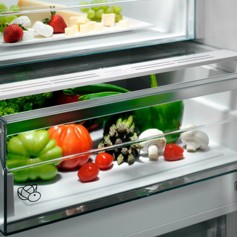 Frigorífico Combi AEG ORC6N361ES Inox (3)