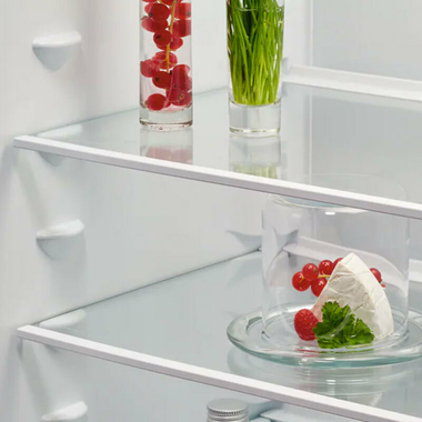 Frigorífico 2 Puertas integrable AEG OSD5S161ES (2)