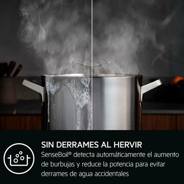 Placa Inducción AEG TI63IQ10IZ 60 cm (8)