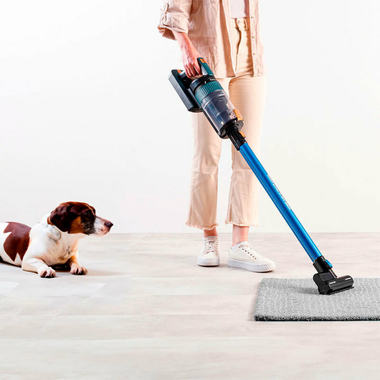 Aspirador escoba Taurus Homeland Ultimate Animal (5)