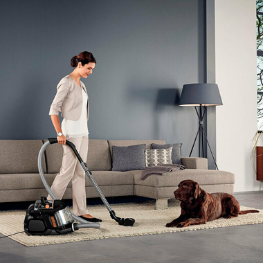 Aspirador AEG LX7-2-EB-P (4)