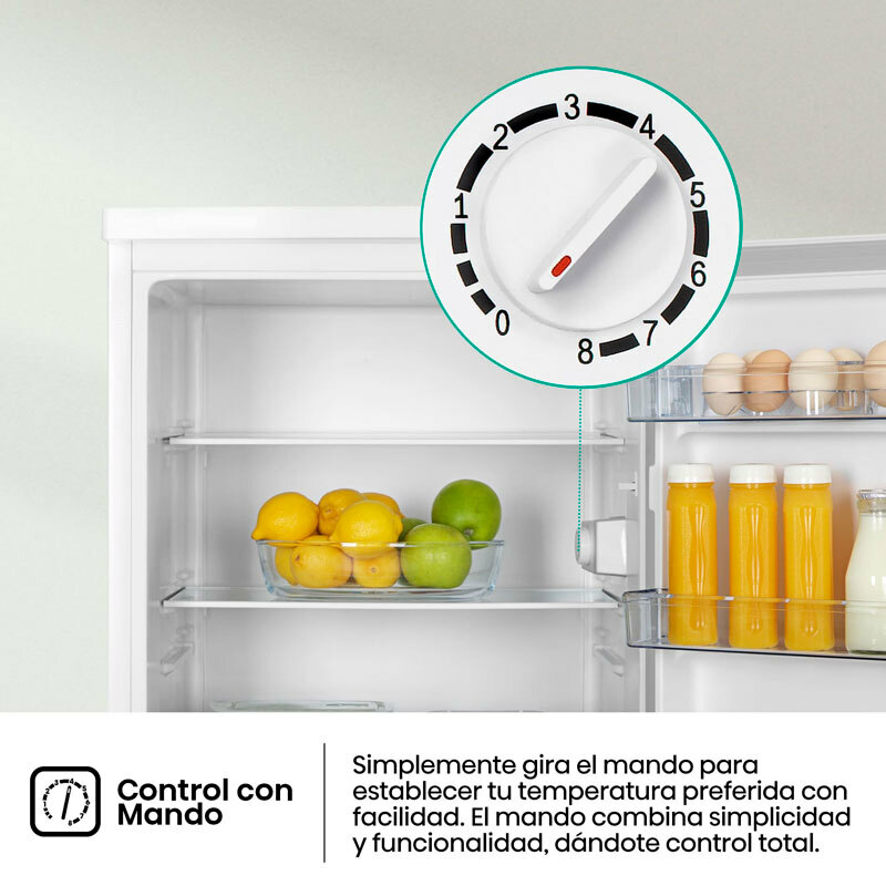 Frigorífico 1 Puerta Hisense RL170D4BWE Blanco (7)