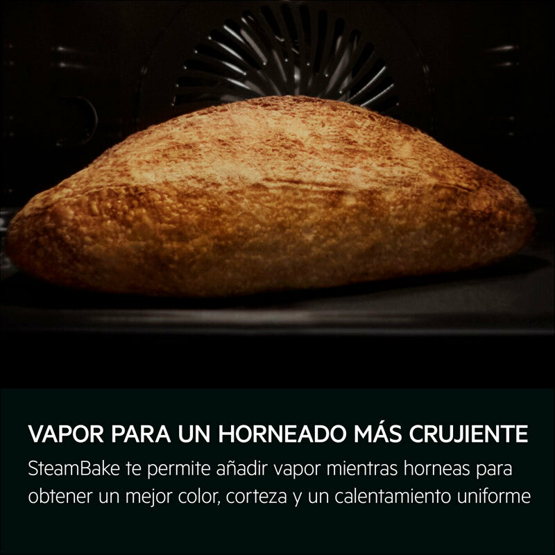 Horno AEG TA5PK401B Cristal Negro (5)