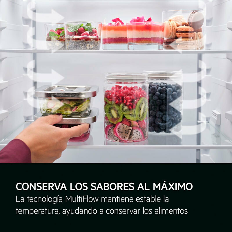 Frigorífico Combi integrable AEG TC6MS19FES (7)