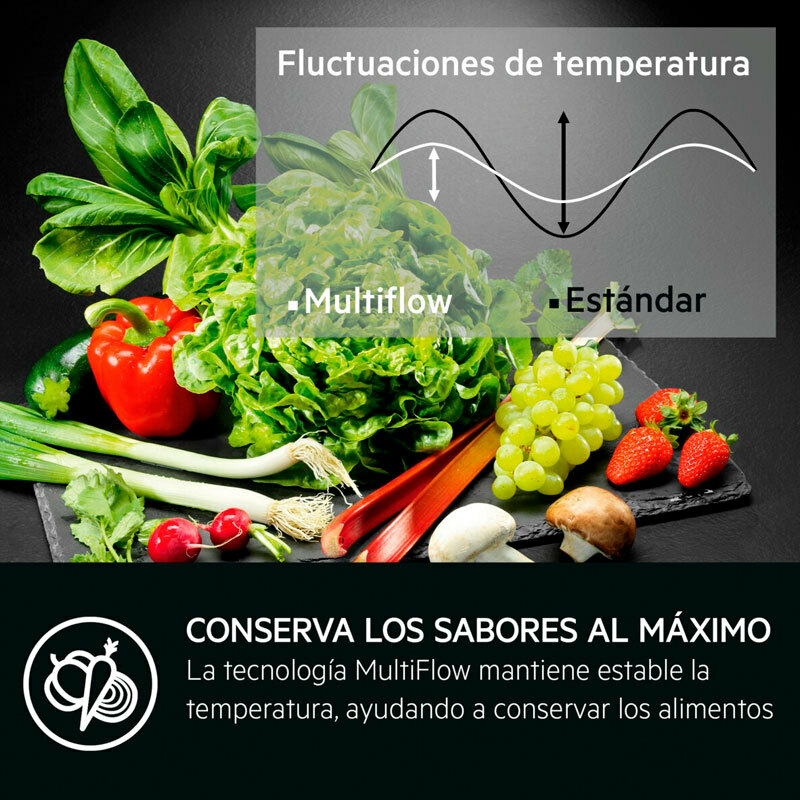 Frigorífico Combi integrable AEG TC6MS19FES (8)