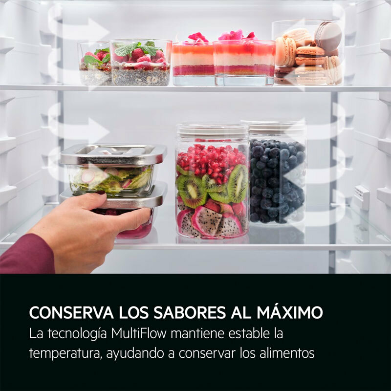 Frigorífico Combi integrable AEG TC6MS18FDS (7)