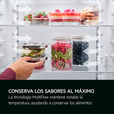 Frigorífico Combi integrable AEG TC6MS18FDS (7)