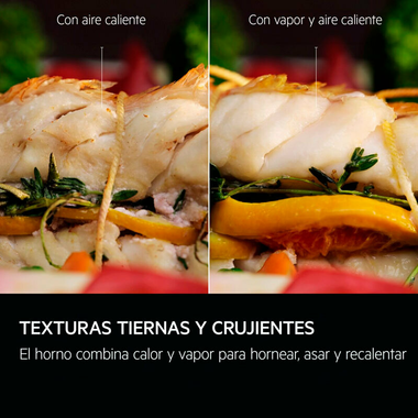 Horno AEG TR7PB73FSB Cristal Negro (7)