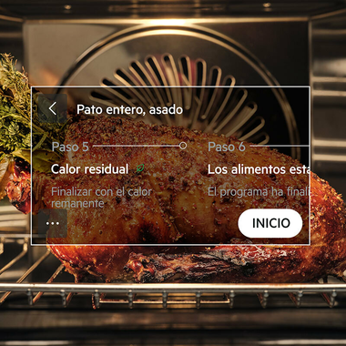 Horno AEG TE8PB731AT Cristal Negro Mate (7)