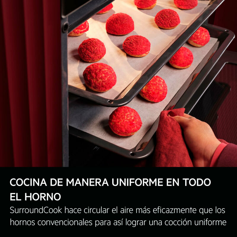 Horno AEG GU5PB43FSM Inox (8)