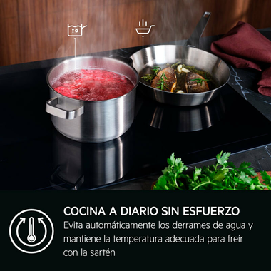 Placa Inducción AEG TI63IQ3BFB 60 cm (6)