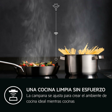 Placa Inducción AEG TI63IQ3BFB 60 cm (8)