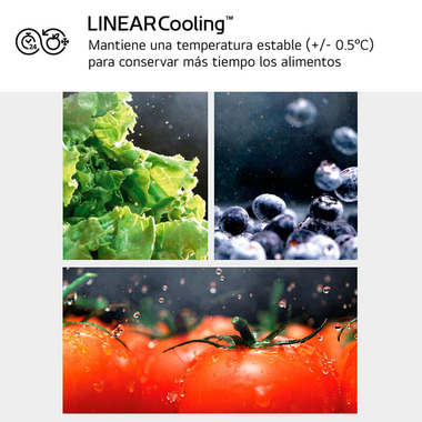 Frigorífico Combi LG GBV21NCDSW Blanco (9)