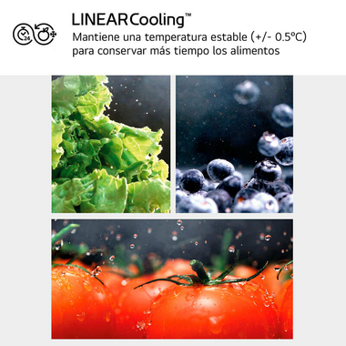 Frigorífico Combi LG GBV3100APY Inox (8)