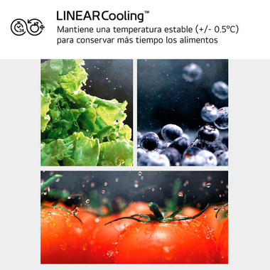 Frigorífico Combi LG GBV3100ASW Blanco (8)