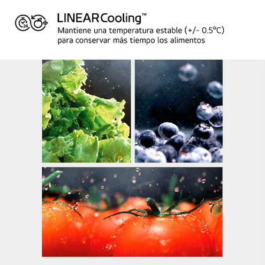 Frigorífico Americano LG GSBC40SWPE Blanco (8)