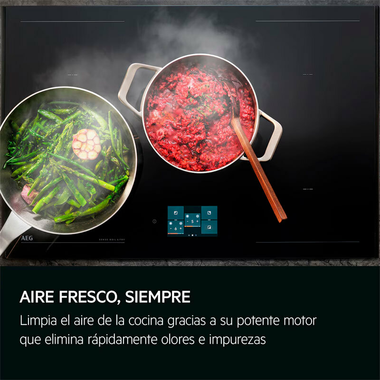 Campana integrable AEG GDE689HM 90 cm (3)