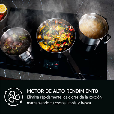 Campana integrable AEG GDE689HM 90 cm (6)