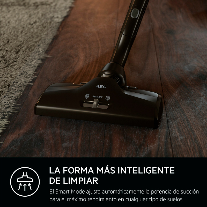 Aspirador con bolsa AEG VX82-1-5DB (2)