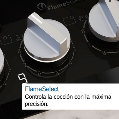 Placa Cristal Bosch PRA3A6I10 30 cm (9)