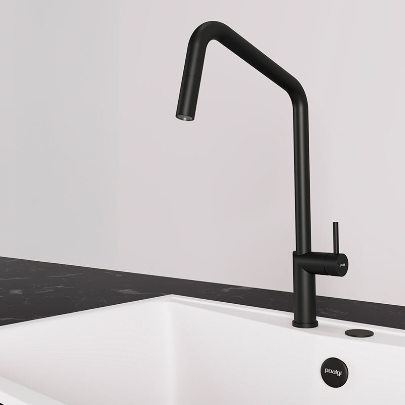 Grifo Poalgi C1NG Negro (3)