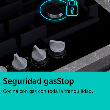 Placa cristal Siemens EP7A6QI40 75 cm (6)