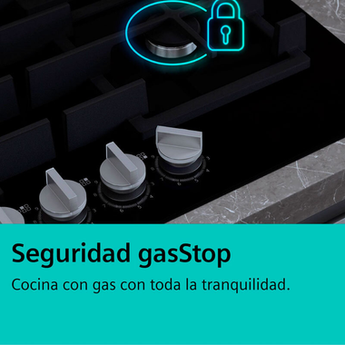 Placa cristal Siemens ER3A6AI10 30 cm (8)