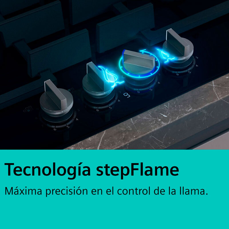 Placa cristal Siemens ER3A6AI10 30 cm (9)