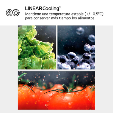 Frigorífico Americano LG GMF961PY3E Inox (8)
