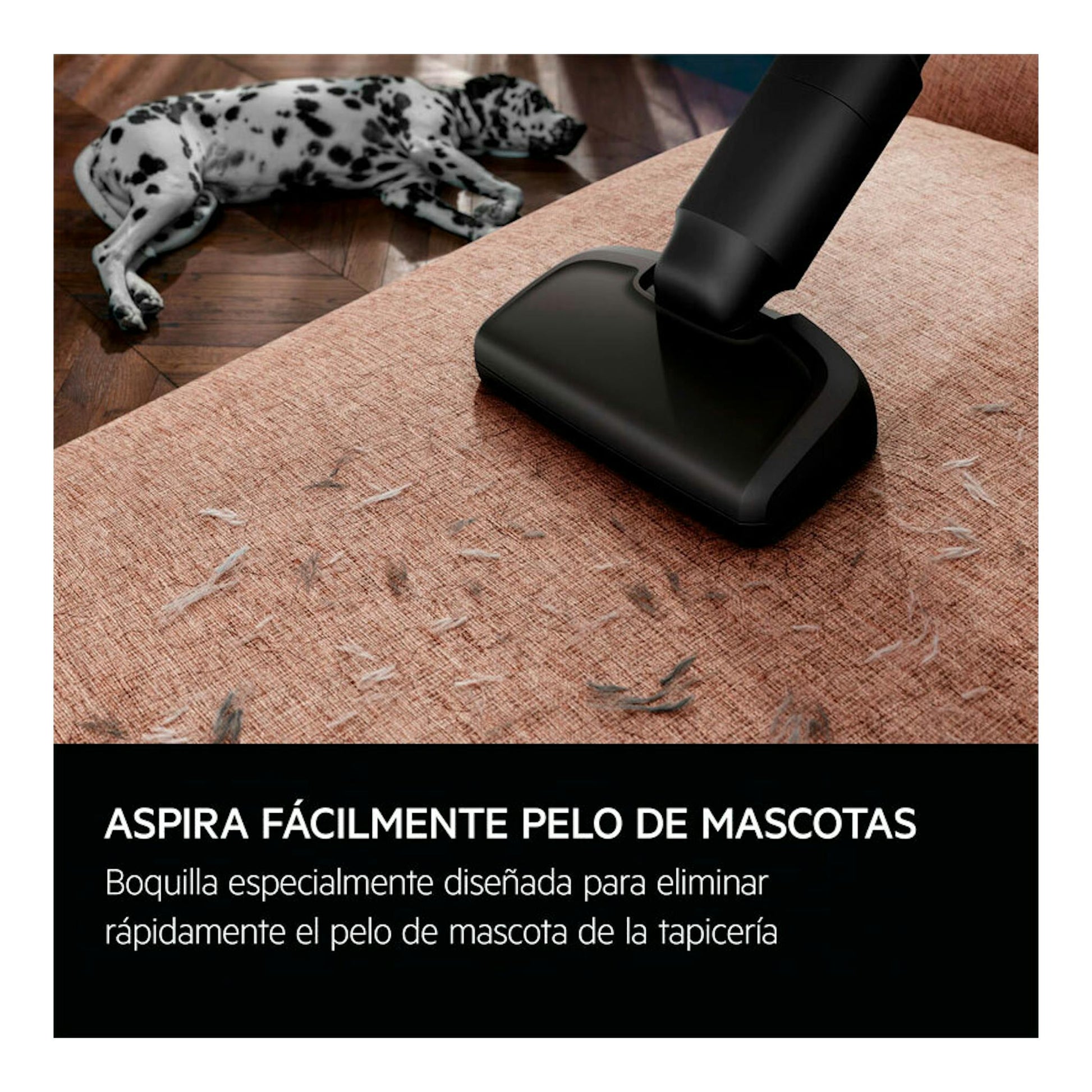 AEG AP61AB21DG: boquilla negra de aspirador escoba sobre sofá beige con pelo de mascota; perro al fondo.