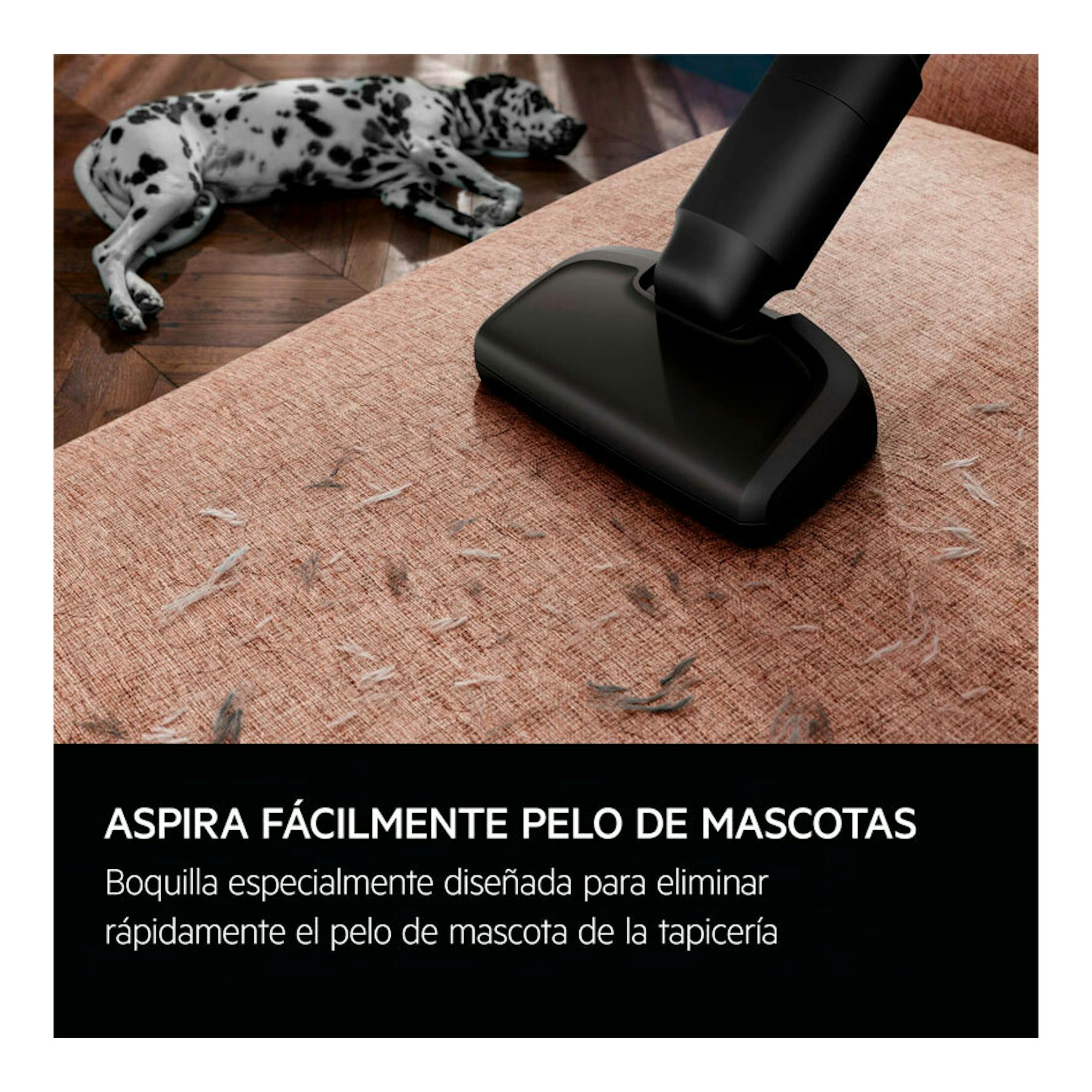 AEG AP61AB21DG: boquilla negra de aspirador escoba sobre sofá beige con pelo de mascota; perro al fondo.